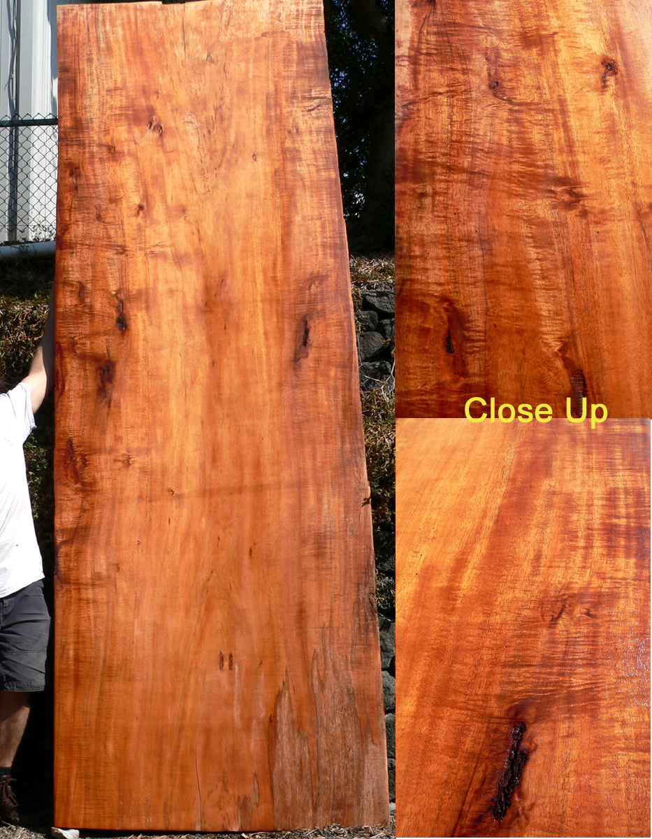 Roy Lambrecht Koa Slabs Service 5 We Have Curly Koa Slabs Hawaiian Koa Premium Full Curl Mango Slabs